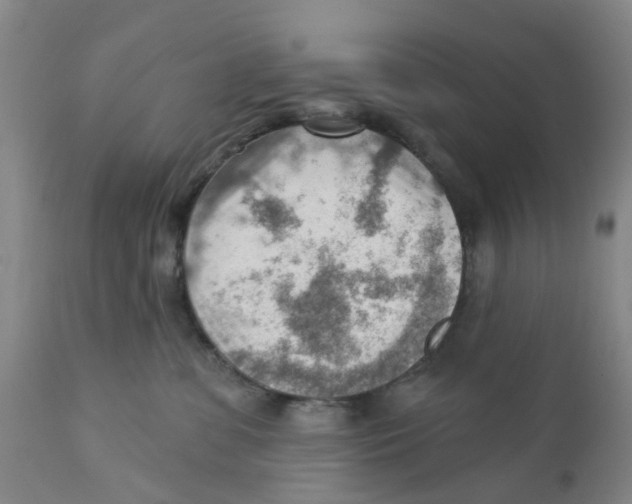 X0000111940331200908241147