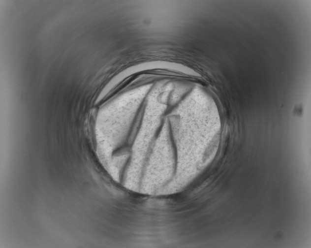 X0000111940332200908241147
