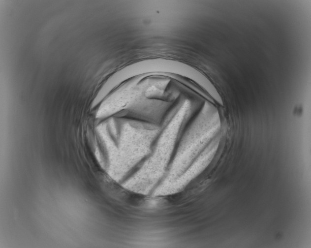X0000111940333200908241147