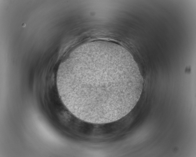 X0000111940335200908241146