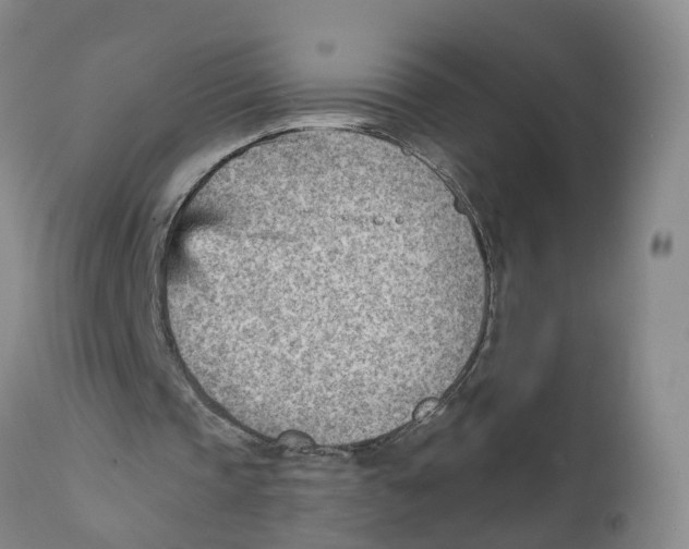 X0000111940337200908241146