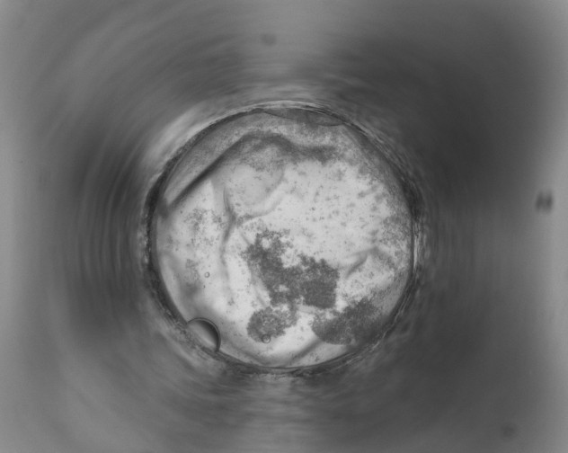 X0000111940339200908241146