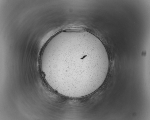 X0000111940340200908241146