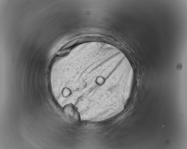 X0000111940341200908241146