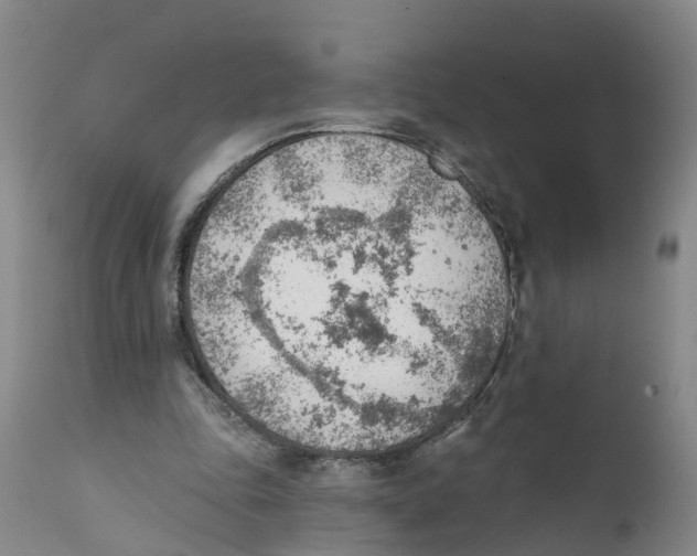 X0000111940343200908241146