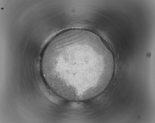 X0000111940346200908241146