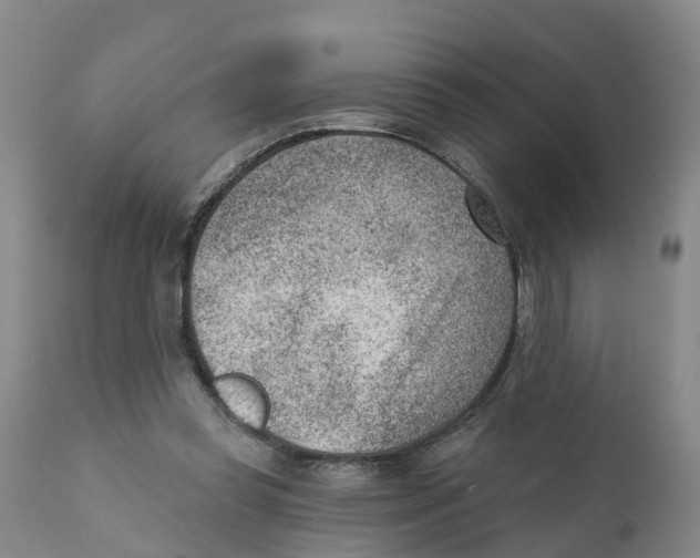 X0000111940349200908241146