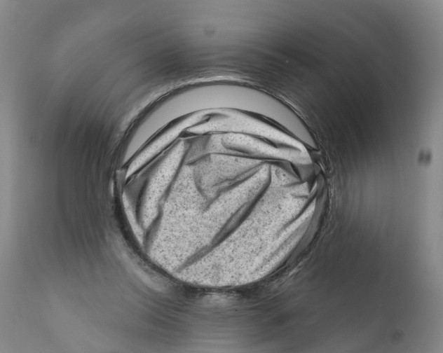 X0000111940350200908241146