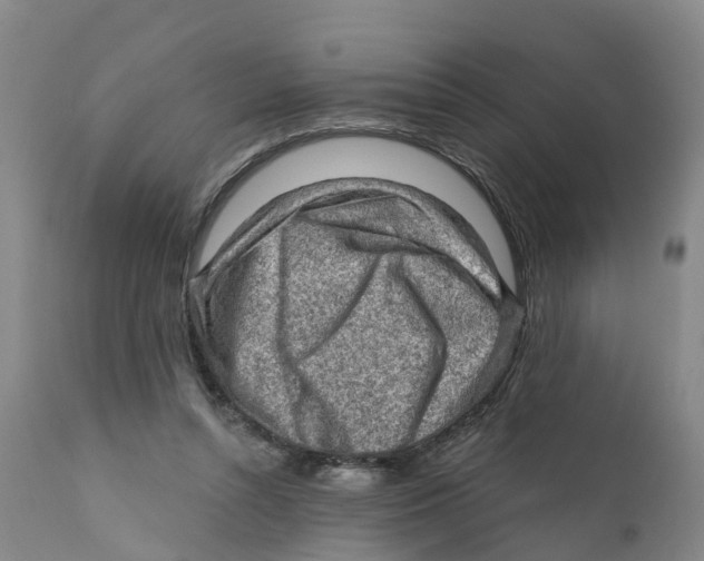 X0000111940352200908241146