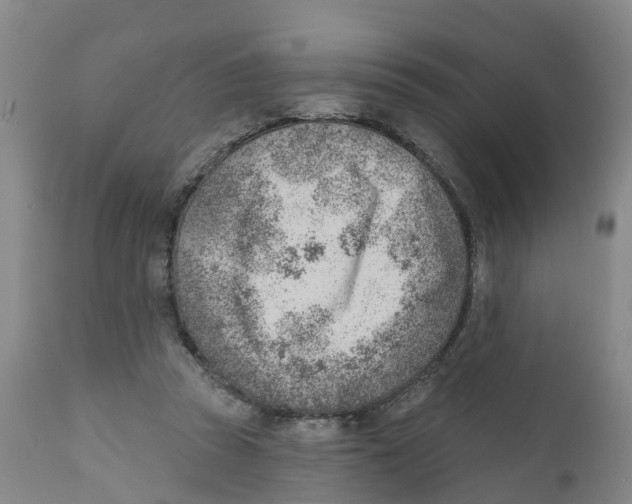 X0000111940353200908241146