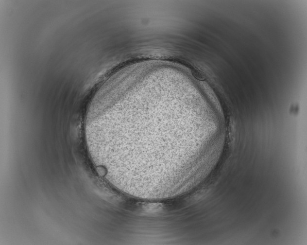 X0000111940355200908241146
