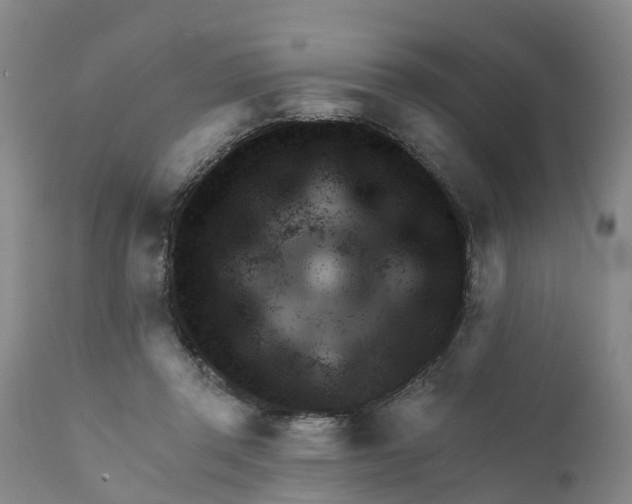 X0000111940357200908241146