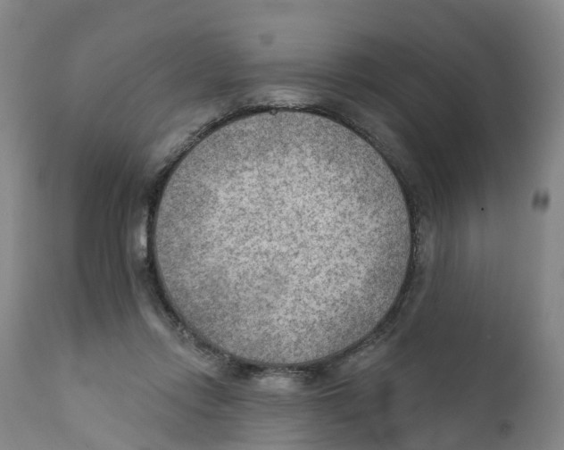 X0000111940358200908241146