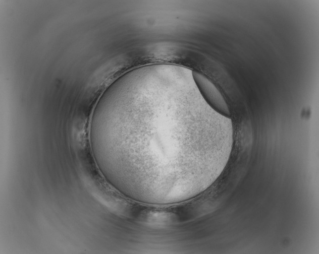 X0000111940360200908241146