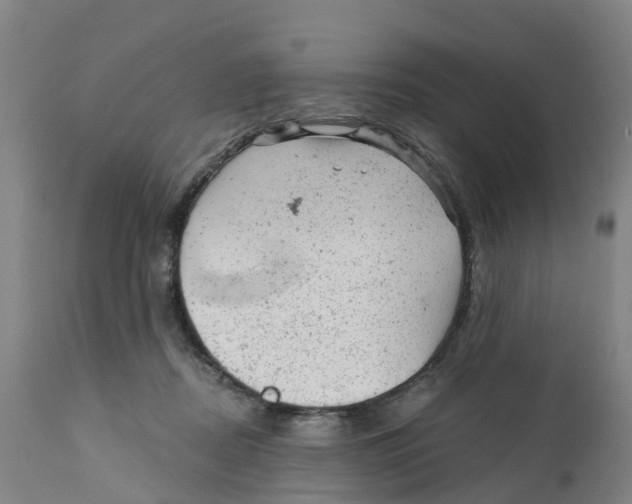 X0000111940362200908241146