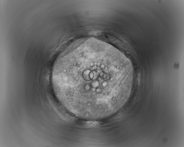 X0000111940363200908241146