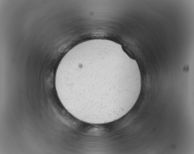 X0000111940364200908241146