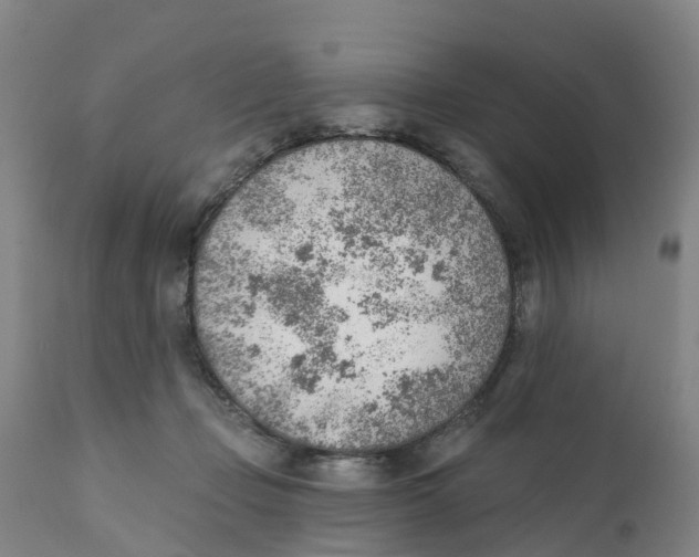 X0000111940365200908241146
