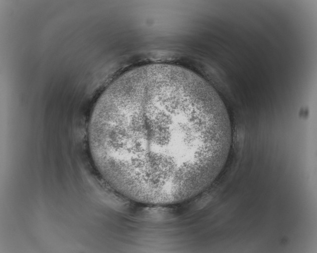 X0000111940367200908241146