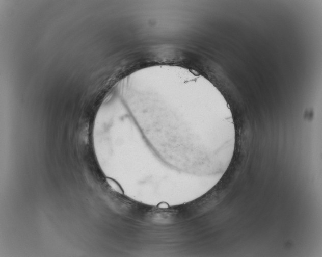X0000111940368200908241146