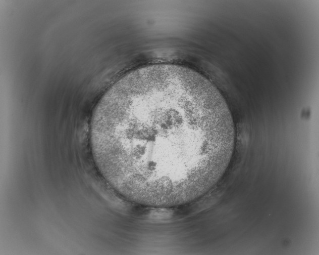 X0000111940369200908241146