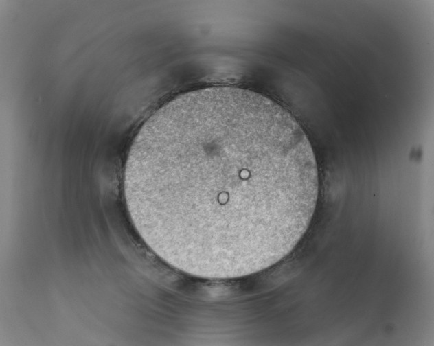 X0000111940370200908241146