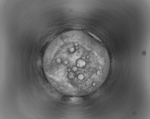 X0000111940371200908241146