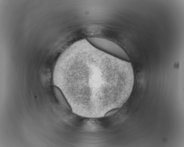 X0000111940372200908241146