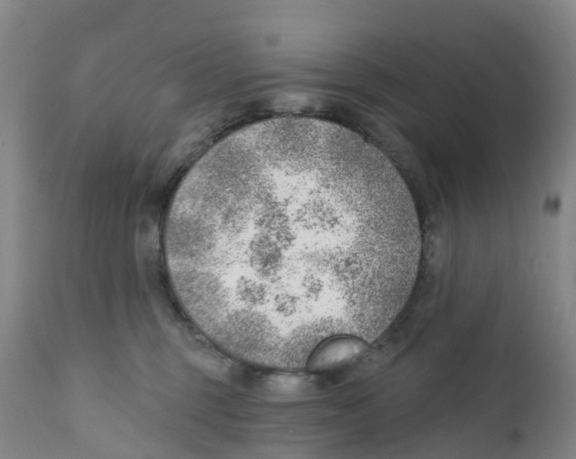 X0000111940375200908241146