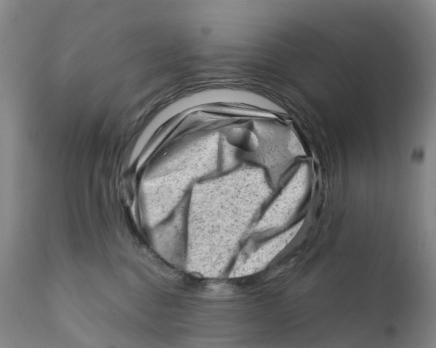 X0000111940376200908241146
