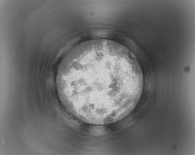 X0000111940377200908241146