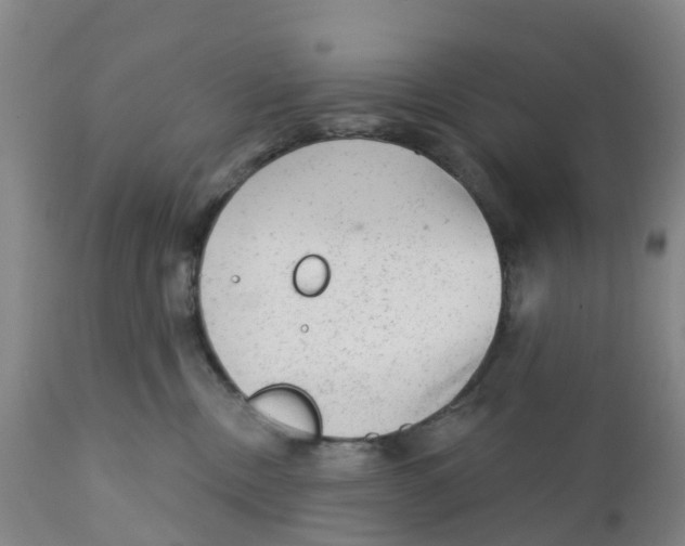 X0000111940378200908241146