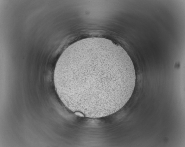 X0000111940379200908241146