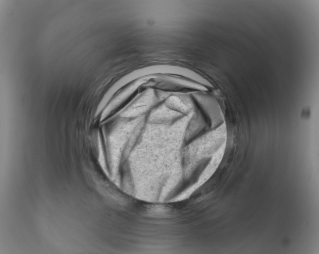 X0000111940380200908241146