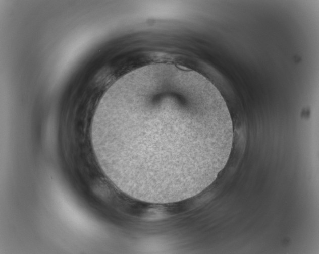 X0000111940381200908241146
