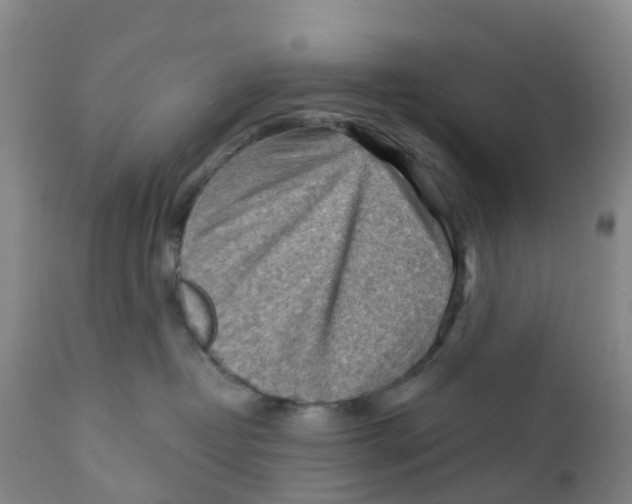 X0000111940382200908241146