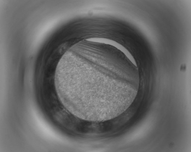 X0000111940383200908241146