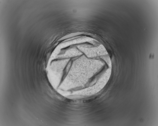 X0000111940384200908241146