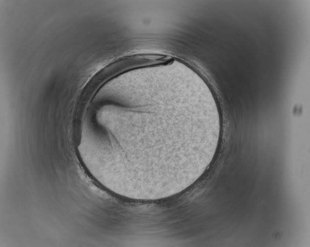 X0000111940385200908241146