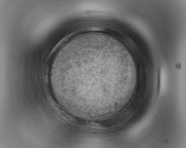 X0000111940387200908241146