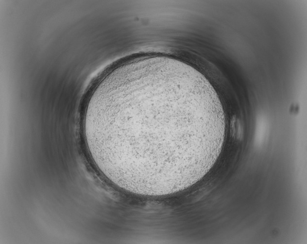 X0000111940388200908241146