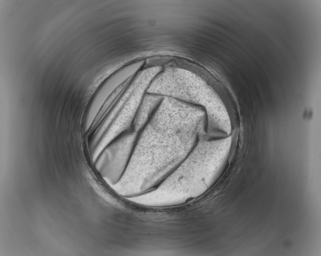 X0000111940389200908241146