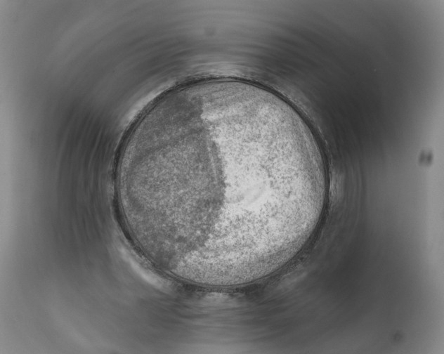 X0000111940390200908241146