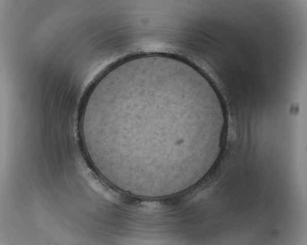 X0000111940391200908241146