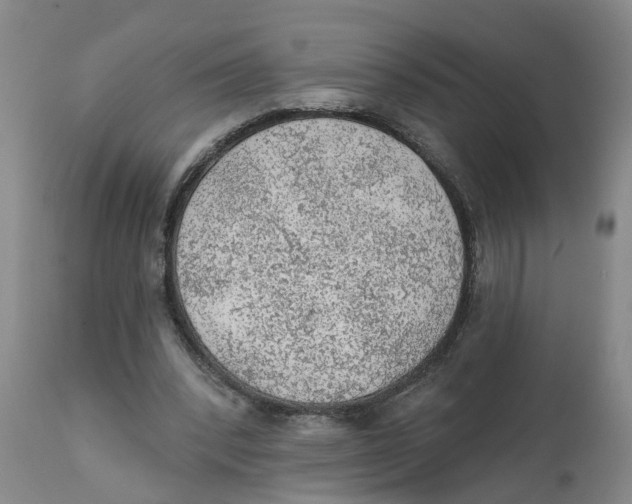 X0000111940392200908241146