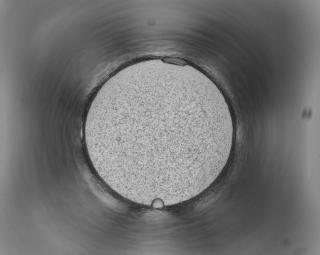 X0000111940397200908241146
