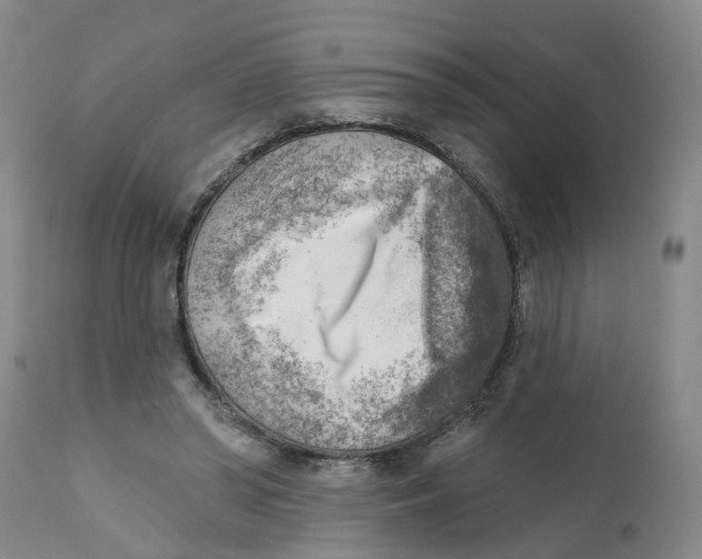 X0000111940398200908241146