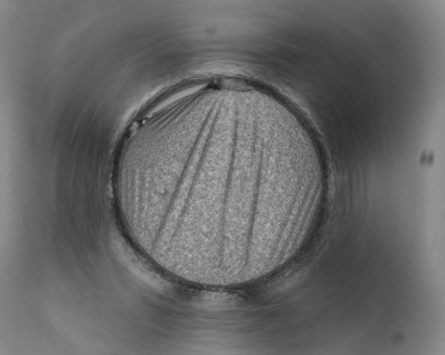 X0000111940399200908241146