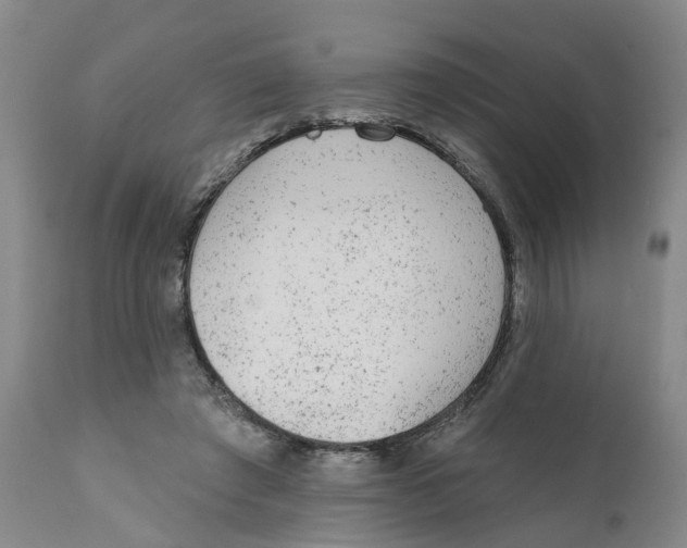 X0000111940401200908241146