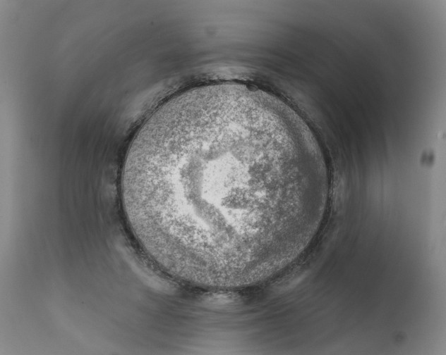 X0000111940402200908241146